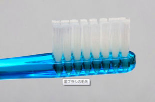 歯ブラシ（青）