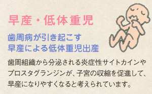 歯周病と早産、低体重児の関係、東京都千代田区の歯科、歯医者（10）